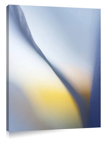 DSC5143