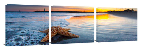 Walton_Beach_Starfish