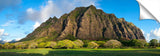 KualoaRidge_072112_21-1024x317_c