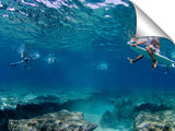 under water view of the reef at Pipeline, north shore, 01.08.08