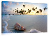 Gili_Shell_
