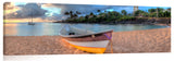 Waimea_082710_P14-17_62x20_c