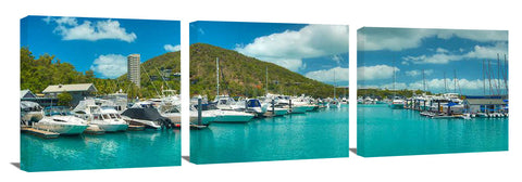 Hamilton-Island-harbor-Sharp_c