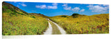 A country road on the west coast of King Island.