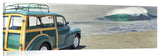 CentralCoastWoodyLowres_c