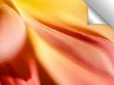 DSC1053