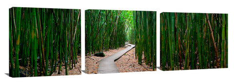 PipiwaiTrail3