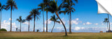 Palm_Dance