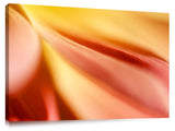 DSC1053