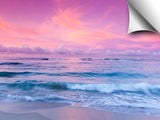 Pink_Waikiki_3d