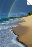 Rainbow_Froth_3d