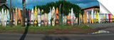 Surfboard_Fence_15_3