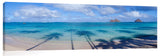 Lanikai_13_10_ThirstyPalms-1024x317_c