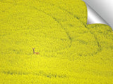 A00177Dig