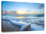 A cone shell on the shoreline, during sunrise.