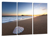 Balboa_Sea_Shell