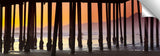 Pismo_Pylons