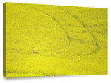 A00177Dig