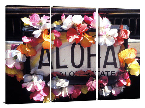 Hawaiian, personalised, license plate, aloha, alohaa