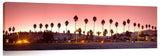 La_Jolla_Beach_Palms