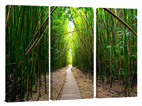 Pipiwai Bamboo train on the island of Maui.