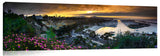 Dana_Point_Violet_Flora