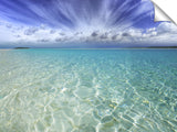 CAREFORASWIM_3d