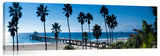 Manhattan_Beach_Pier_Palms