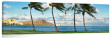 AlaMoana_081310_HonoluluPalms2-1024x317_c