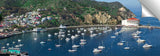 Avalon_Harbor
