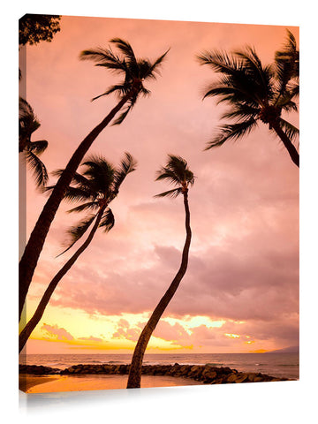 Curvy_Palms_3d
