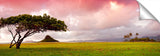 ChinamansHat_062911_Pano31-1024x317_c