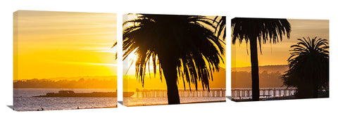 Concrete_Ship_Palms