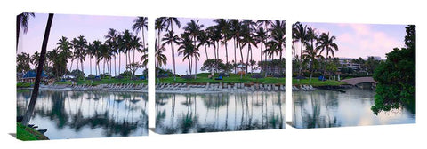 HiltonWaikaloa_020514_7_18x58_3d