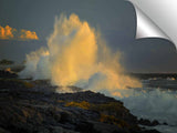 S00951DL2