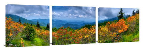 Roan-Mountain_3d
