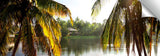 Palm_Frond_shack