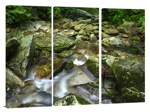 207BooneFork_3d