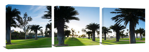 Mission_Bay_Palms