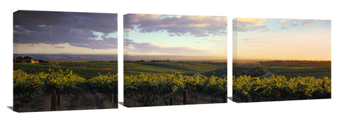 McLaren_Vale-SA-David_Evans_c