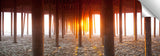 Pismo_Underglow