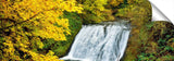 PA0186L_c