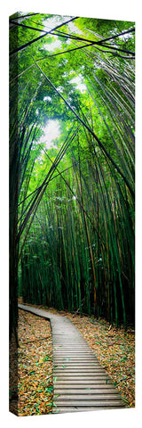 PipiwaiTrail5_3d