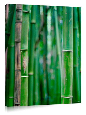 Bamboo_shutes_3d