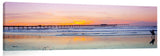 OB_Surfer