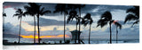 Palm_Sunset