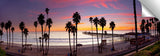 San_Clemente_Palms