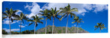 KualoaRidge_PalmTreeRidge-1024x317_c