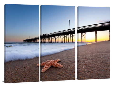 Balboa_Pier_Starfish