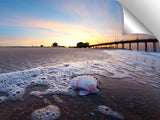 Huntington_Bch_Pier_Shell